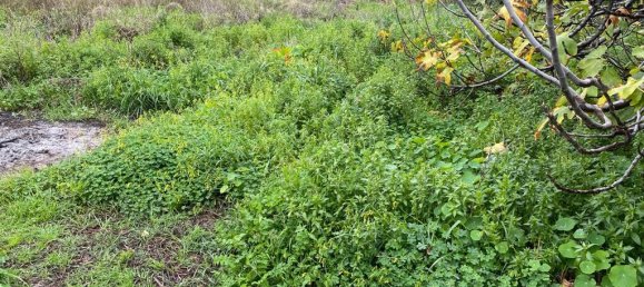  فندق في Chania, Greece 1372متر مربع رقم 3323 3