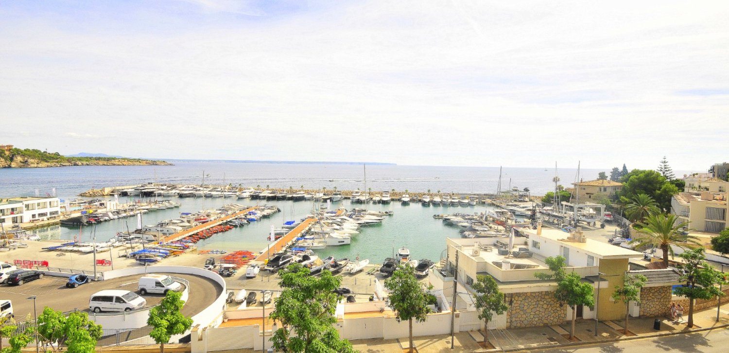 11 غرف نوم منزل في Palma de Majorca, Spain رقم 72084