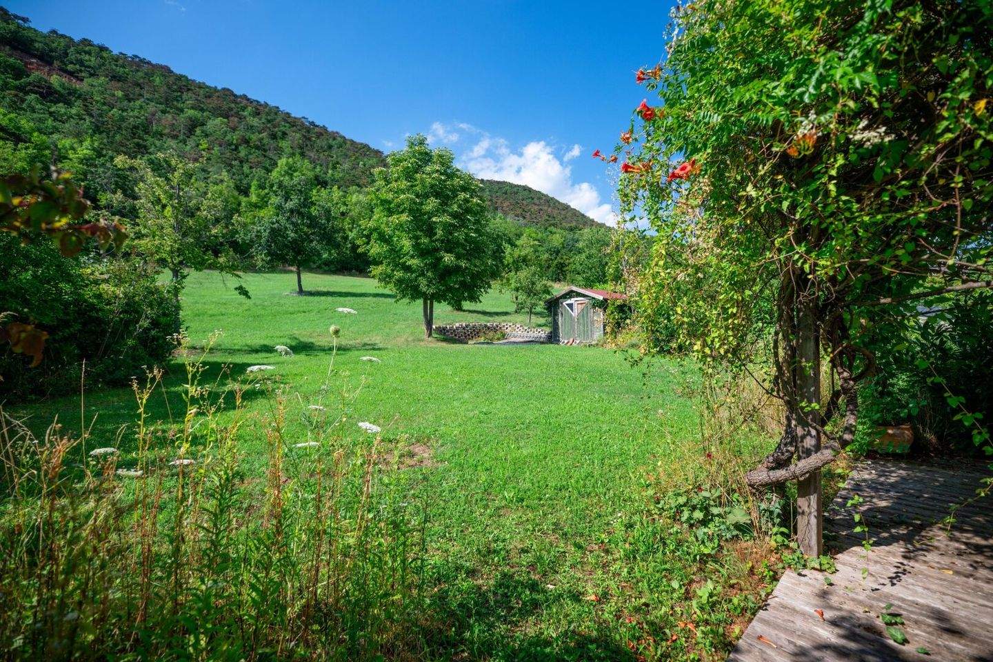 6-Zimmer Haus in Winzendorf-Muthmannsdorf, Austria, Nr. 132128