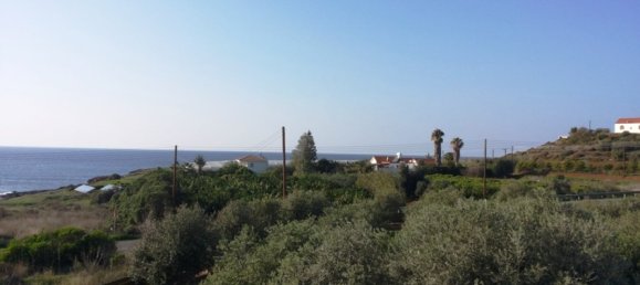 4 bedrooms Villa in Paphos, Cyprus No. 1654 15