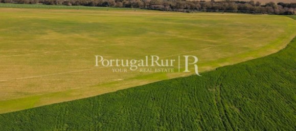 Casa de 11 dormitorios en Campo Maior, Portugal No. 128445 10