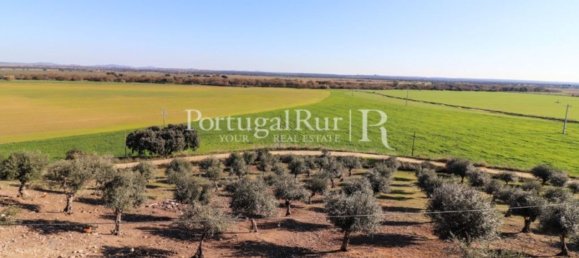 Casa de 11 dormitorios en Campo Maior, Portugal No. 128445 44