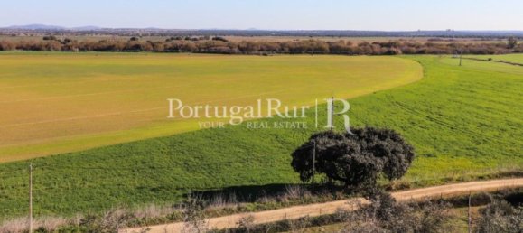 Casa de 11 dormitorios en Campo Maior, Portugal No. 128445 50