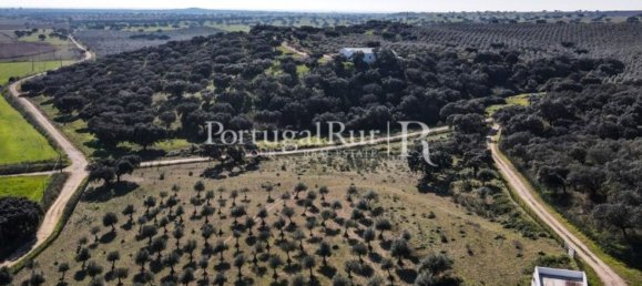 Casa de 11 dormitorios en Campo Maior, Portugal No. 128445 40