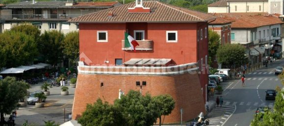 7 chambres Villa à Forte dei Marmi, Italy No. 188653 23