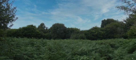 Земельный участок 2660м² в Финистер, Франция № 331608 2