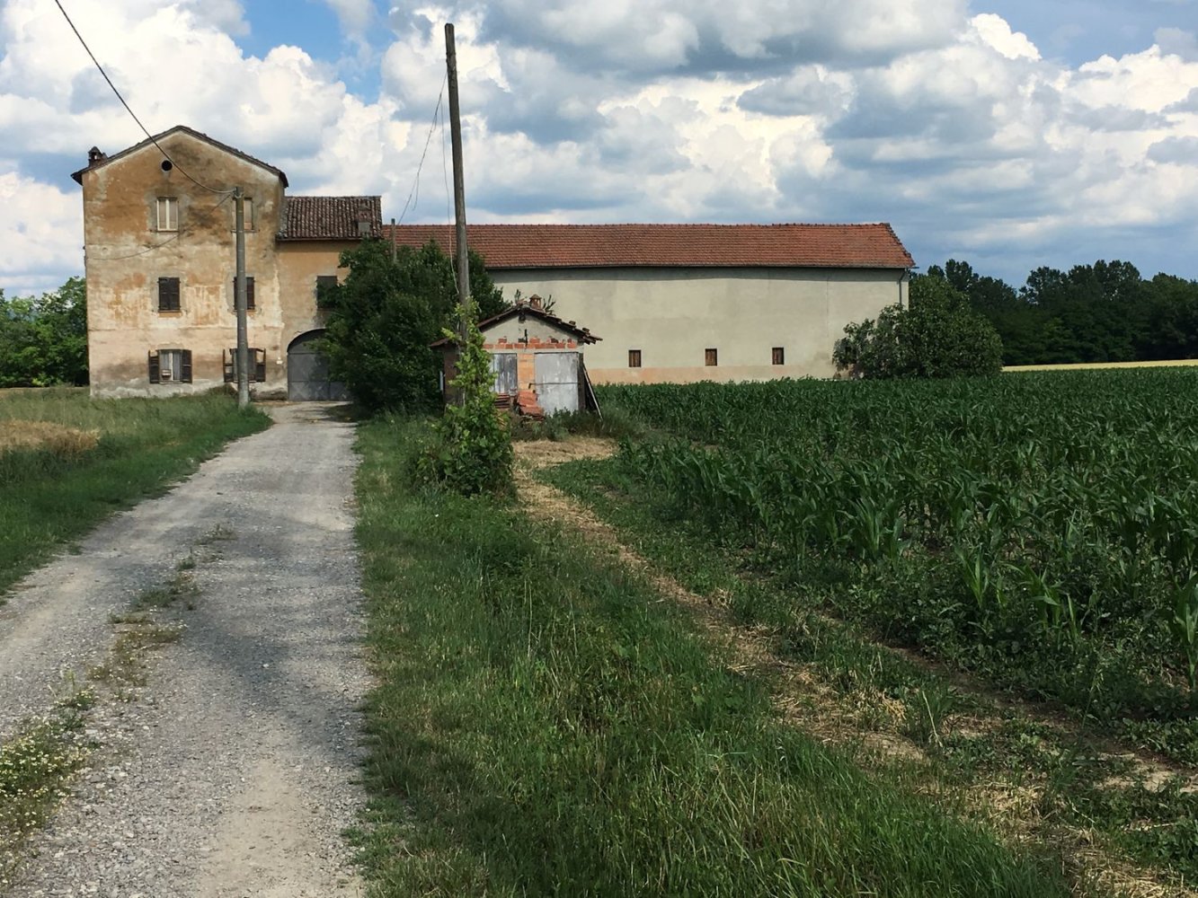 15-Zimmer Haus in Castellar Guidobono, Italy, Nr. 256090