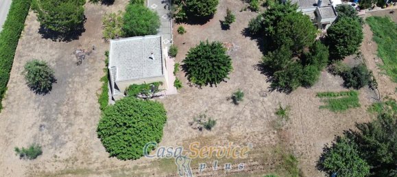 3 rooms Villa in Parabita, Italy No. 236035 12