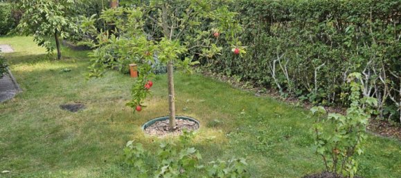 Terreno em Frankfurt an der Oder, Germany N.º 354927 10