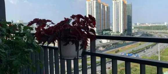 3 bedrooms Apartment in Thu Duc, Vietnam No. 8369 3