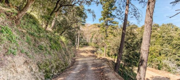 8 Schlafzimmer Haus in Barcelona, Spain, Nr. 155466 9