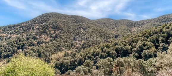 8 Schlafzimmer Haus in Barcelona, Spain, Nr. 155466 10