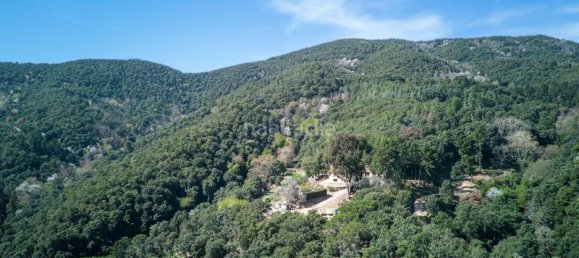 8 Schlafzimmer Haus in Barcelona, Spain, Nr. 155466 25