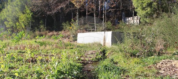 Grundstück in Estoraos, Portugal 22000m², Nr. 33209 17