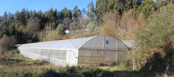 Grundstück in Estoraos, Portugal 22000m², Nr. 33209 34