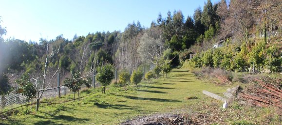 Grundstück in Estoraos, Portugal 22000m², Nr. 33209 26