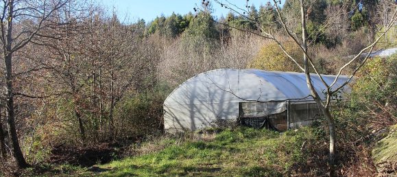 Grundstück in Estoraos, Portugal 22000m², Nr. 33209 35