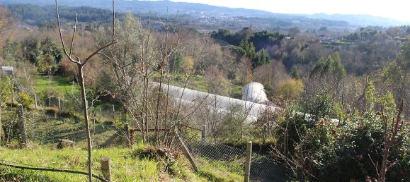 Grundstück in Estoraos, Portugal 22000m², Nr. 33209 8