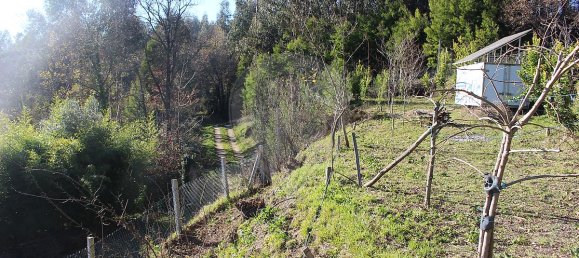 Grundstück in Estoraos, Portugal 22000m², Nr. 33209 10