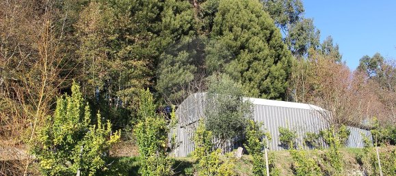 Grundstück in Estoraos, Portugal 22000m², Nr. 33209 27