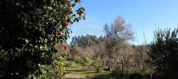 Grundstück in Estoraos, Portugal 22000m², Nr. 33209 30