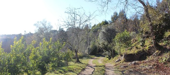 Grundstück in Estoraos, Portugal 22000m², Nr. 33209 3