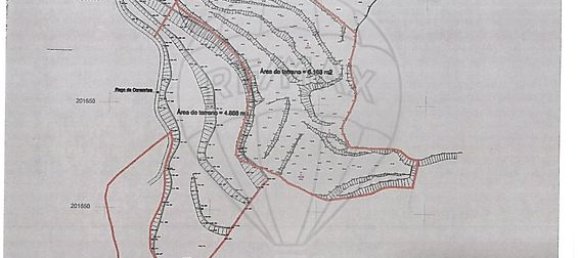 Grundstück in Estoraos, Portugal 22000m², Nr. 33209 40