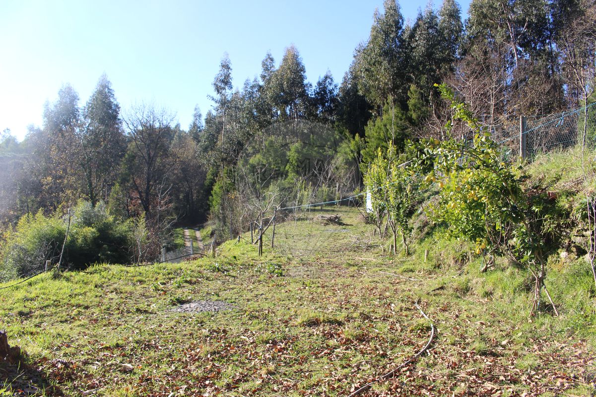 Grundstück in Estoraos, Portugal 22000m², Nr. 33209