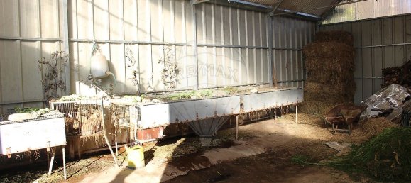 Grundstück in Estoraos, Portugal 22000m², Nr. 33209 15