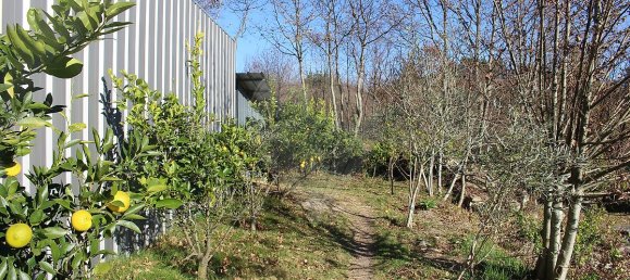 Grundstück in Estoraos, Portugal 22000m², Nr. 33209 22