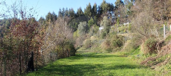 Grundstück in Estoraos, Portugal 22000m², Nr. 33209 32