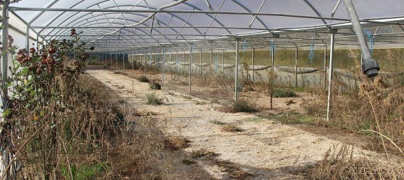 Grundstück in Estoraos, Portugal 22000m², Nr. 33209 33