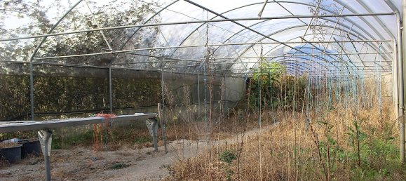 Grundstück in Estoraos, Portugal 22000m², Nr. 33209 36