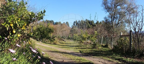 Grundstück in Estoraos, Portugal 22000m², Nr. 33209 29