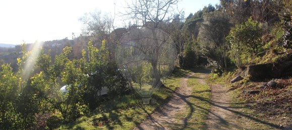 Grundstück in Estoraos, Portugal 22000m², Nr. 33209 39