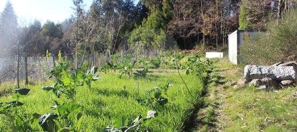 Grundstück in Estoraos, Portugal 22000m², Nr. 33209 16