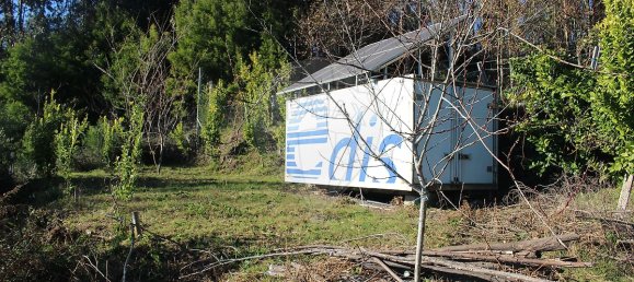 Grundstück in Estoraos, Portugal 22000m², Nr. 33209 11