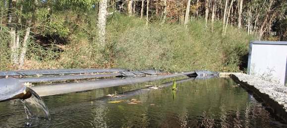 Grundstück in Estoraos, Portugal 22000m², Nr. 33209 18