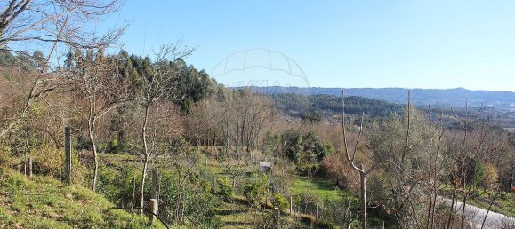 Grundstück in Estoraos, Portugal 22000m², Nr. 33209 9