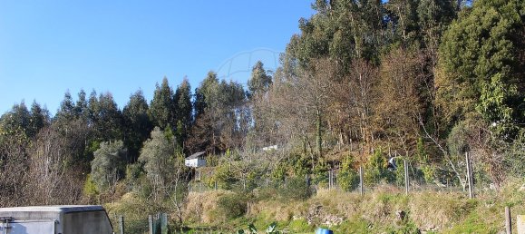 Grundstück in Estoraos, Portugal 22000m², Nr. 33209 31