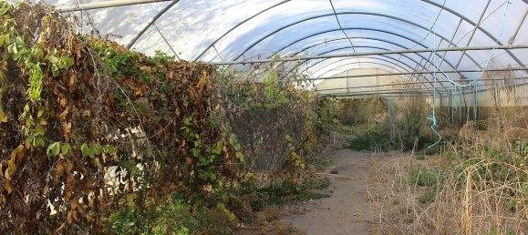 Grundstück in Estoraos, Portugal 22000m², Nr. 33209 37