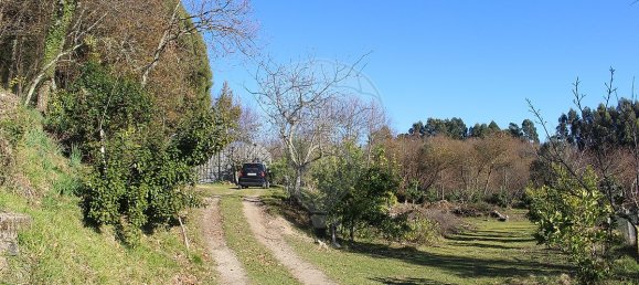 Grundstück in Estoraos, Portugal 22000m², Nr. 33209 28