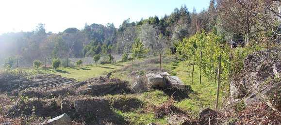 Grundstück in Estoraos, Portugal 22000m², Nr. 33209 24