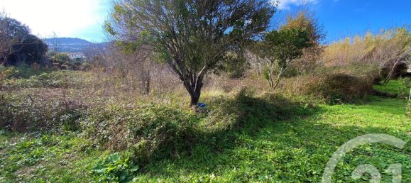 Terreno em Santa-Reparata-di-Balagna, France N.º 89571 2