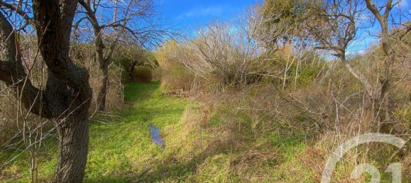 Terreno em Santa-Reparata-di-Balagna, France N.º 89571 4