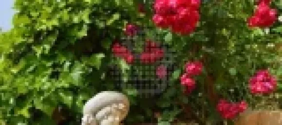  Castillos de 6 dormitorios en Silves, Portugal No. 129246 32