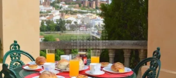  Castillos de 6 dormitorios en Silves, Portugal No. 129246 9