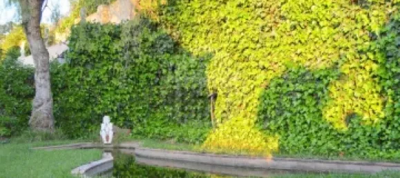  Castillos de 6 dormitorios en Silves, Portugal No. 129246 30