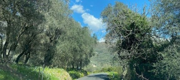 7 chambres Duplex à Pietrabruna, Italy No. 322790 40