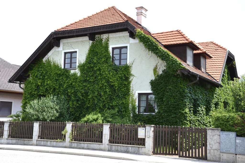 10 rooms Townhouse in Wiener Neustadt, Austria No. 85527